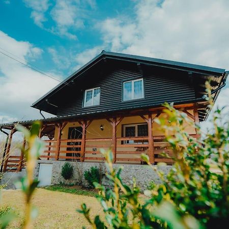 Casa Andreea Si Grigore Ursu Borsa  Exterior photo