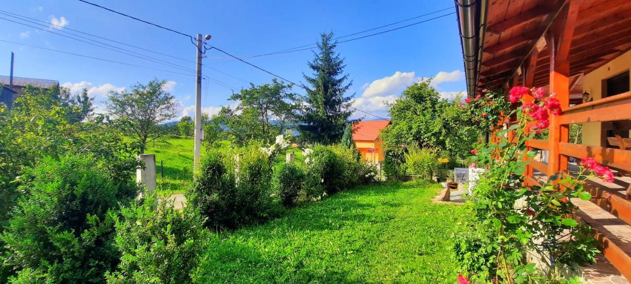 Casa Andreea Si Grigore Ursu Borsa  Exterior photo